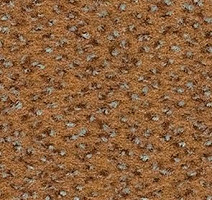 Ковролин Balsan Zenith Roll 635 фото 1 | FLOORDEALER